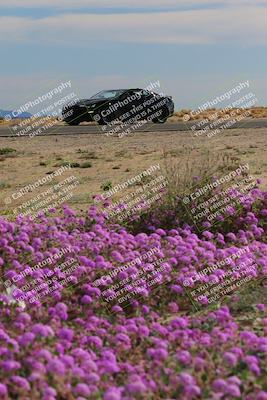 media/Jan-08-2023-SCCA SD (Sun) [[8f6a5b9391]]/Advanced Group/Session 2 (Short Straight)/